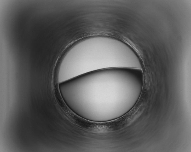 X0000098150203200804171203