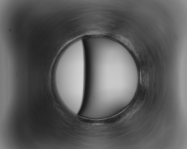 X0000098150204200804171203