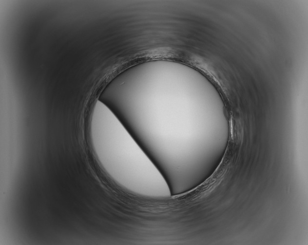 X0000098150205200804171203