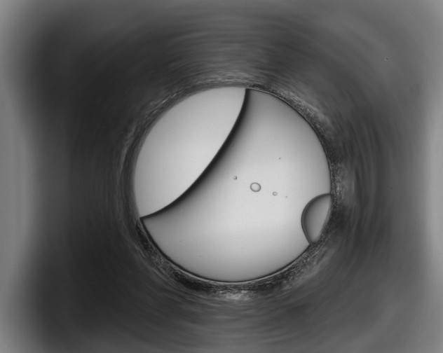 X0000098150206200804171203