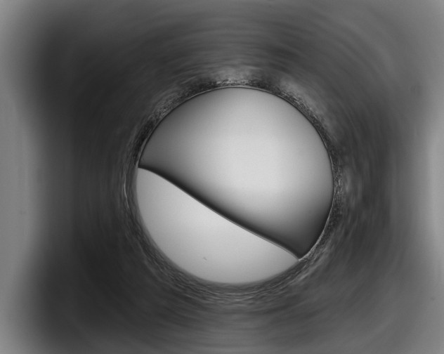 X0000098150209200804171203