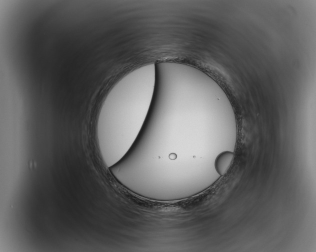 X0000098150210200804171203