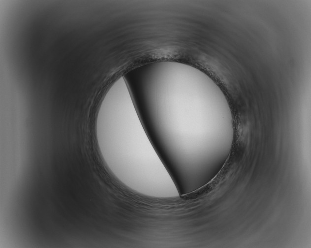 X0000098150211200804171203