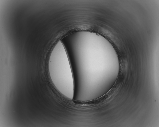 X0000098150212200804171203
