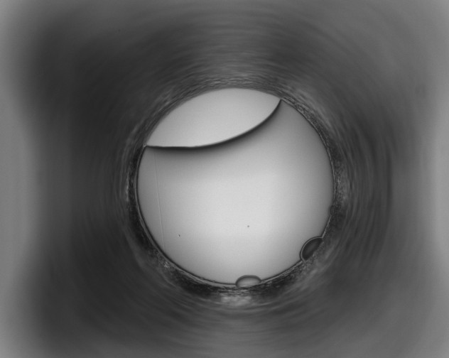 X0000098150214200804171203