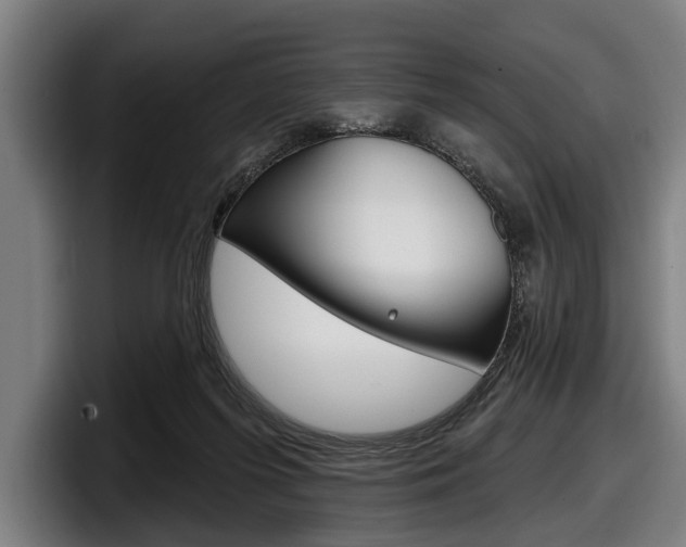 X0000098150215200804171203