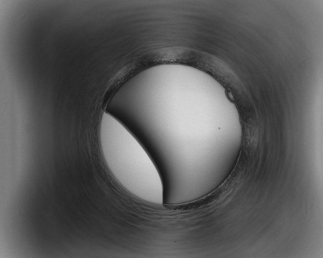 X0000098150216200804171203