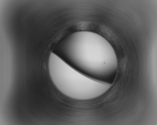 X0000098150217200804171203