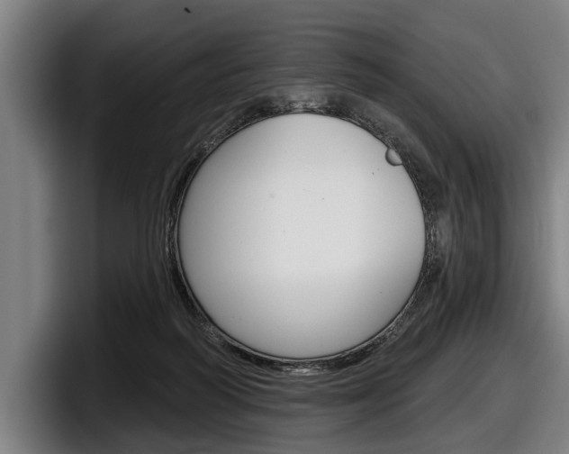 X0000098150218200804171203