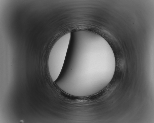 X0000098150220200804171203