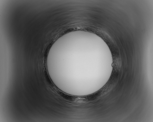 X0000098150222200804171203