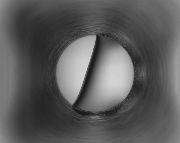 X0000098150224200804171203