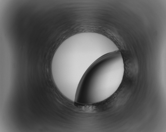 X0000098150225200804171203