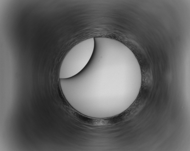 X0000098150226200804171203