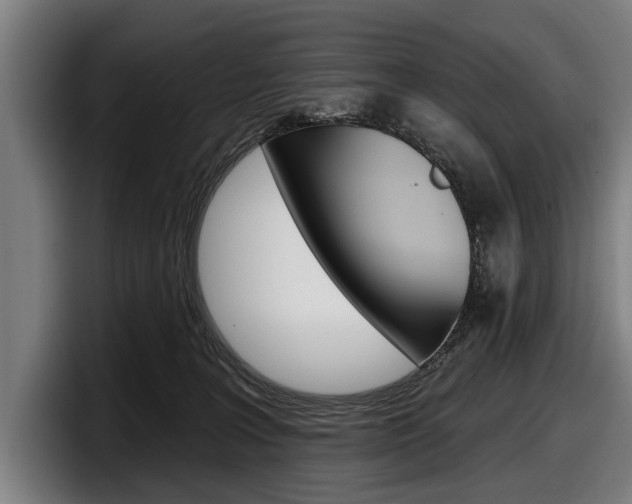 X0000098150227200804171203