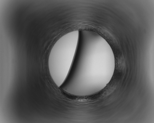 X0000098150228200804171203
