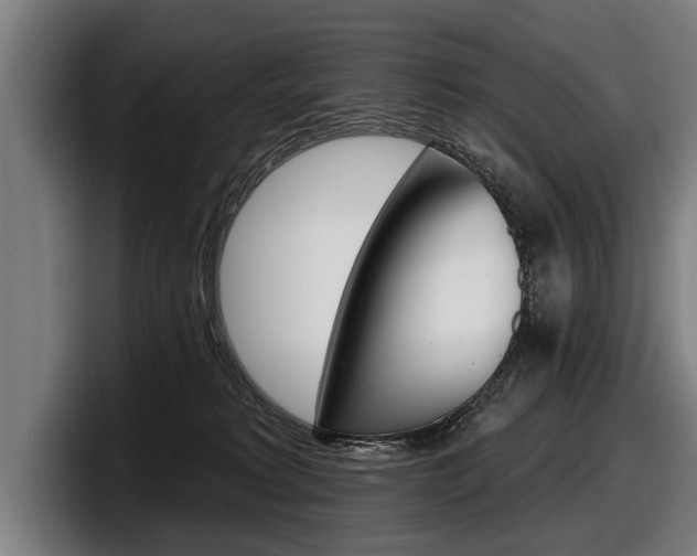 X0000098150229200804171203