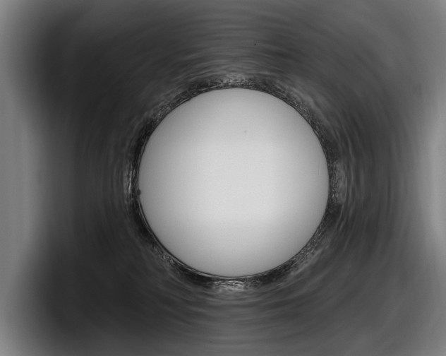 X0000098150230200804171203