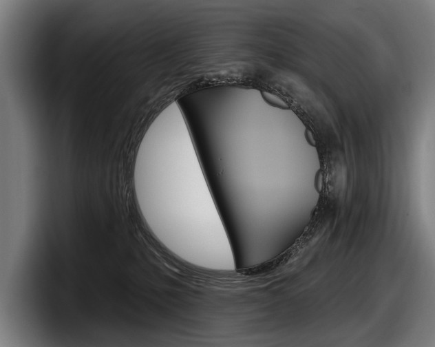 X0000098150231200804171203