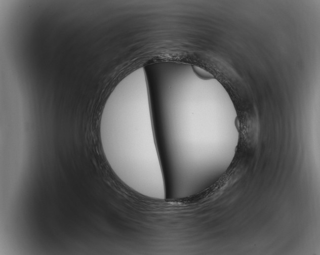 X0000098150233200804171203