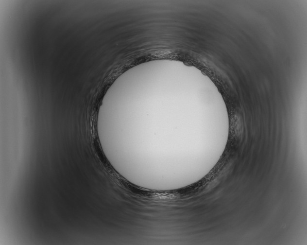 X0000098150234200804171203