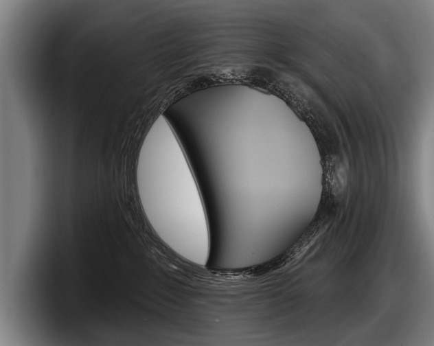 X0000098150235200804171203