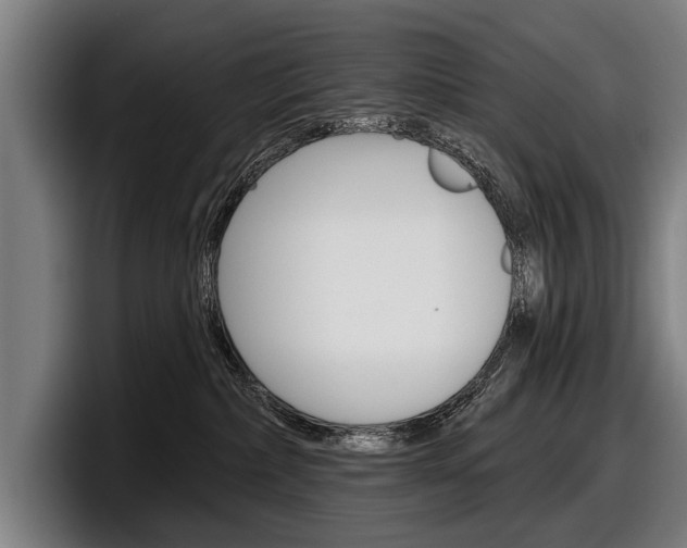 X0000098150236200804171203
