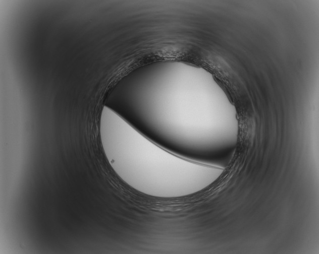 X0000098150237200804171203