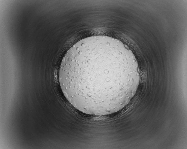 X0000098150238200804171203