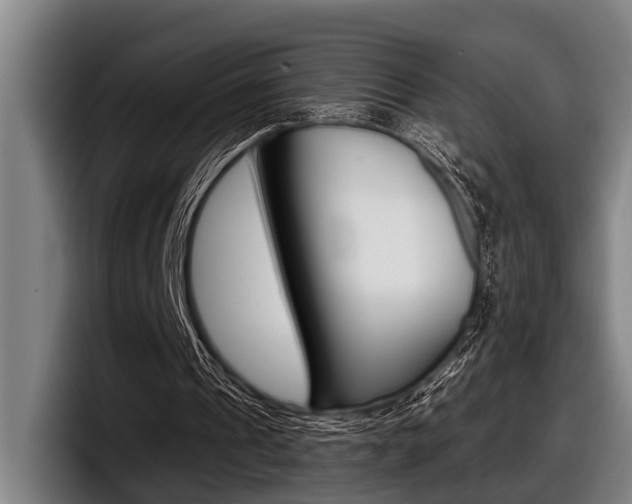 X0000098150241200804171202