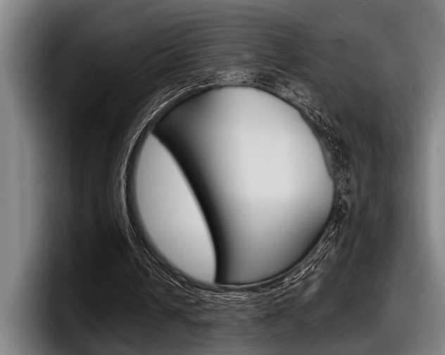 X0000098150242200804171202