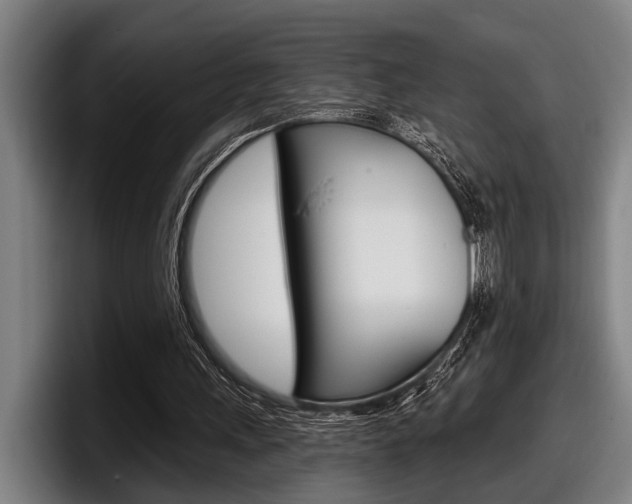 X0000098150243200804171202