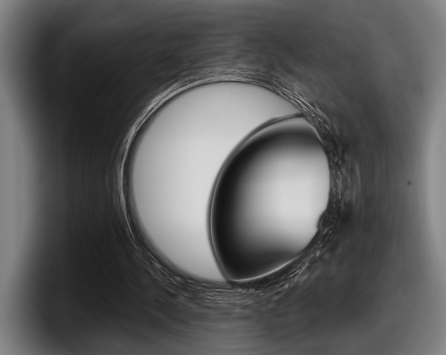 X0000098150244200804171202