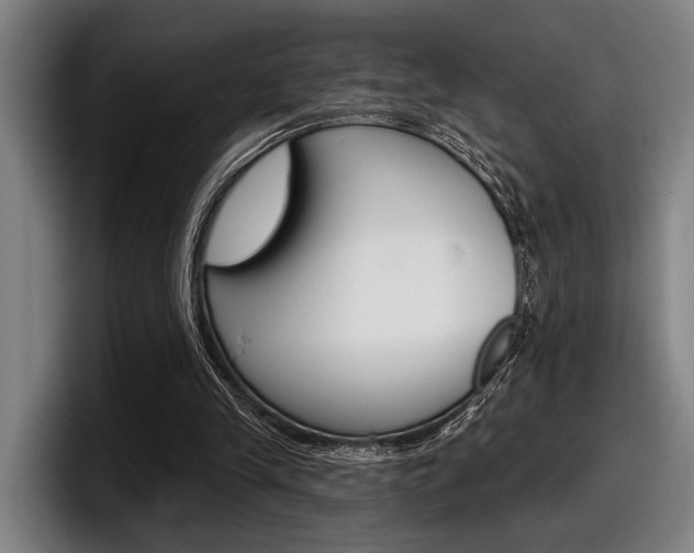 X0000098150245200804171202
