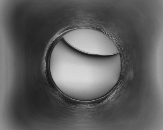 X0000098150246200804171202