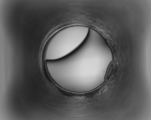 X0000098150247200804171202