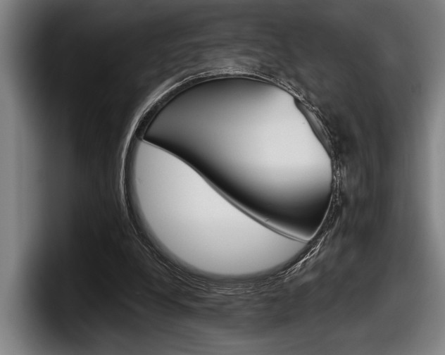 X0000098150248200804171202