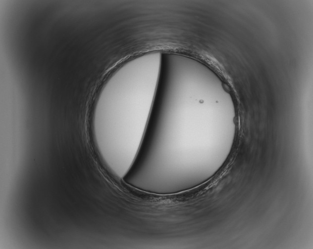 X0000098150249200804171202