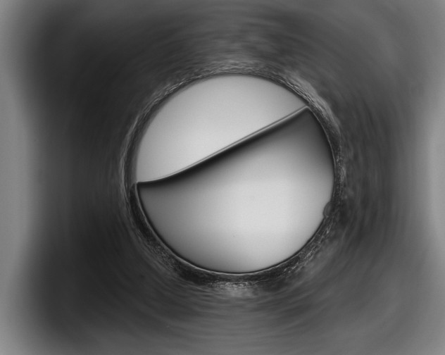 X0000098150250200804171202