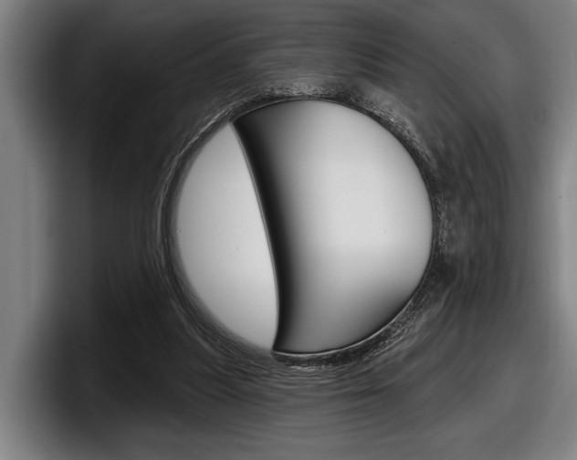 X0000098150251200804171202