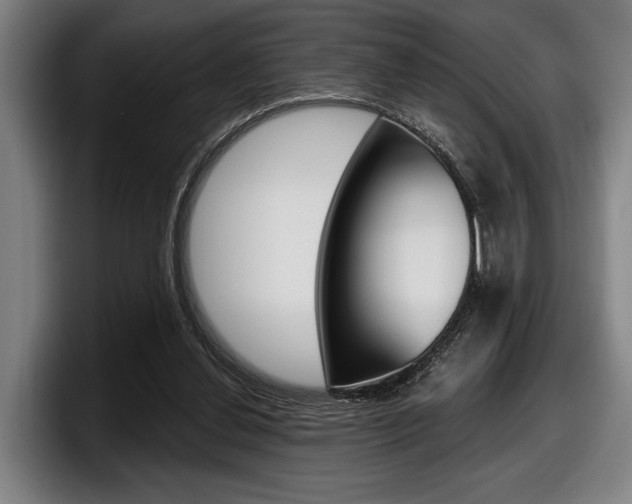 X0000098150252200804171202