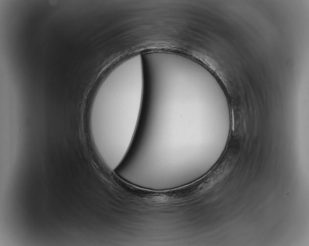 X0000098150253200804171202