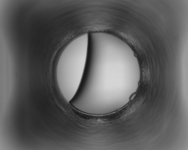 X0000098150254200804171202