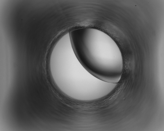 X0000098150256200804171202