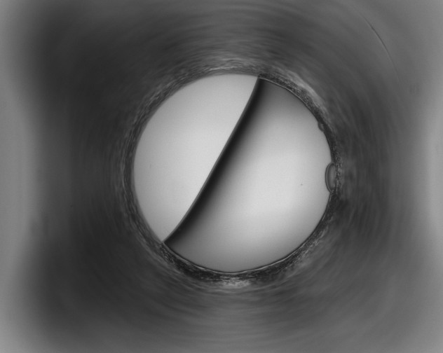 X0000098150257200804171203