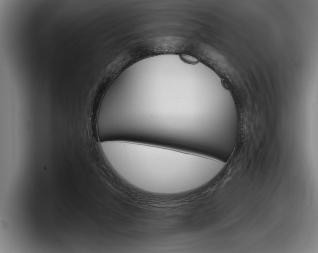 X0000098150258200804171203