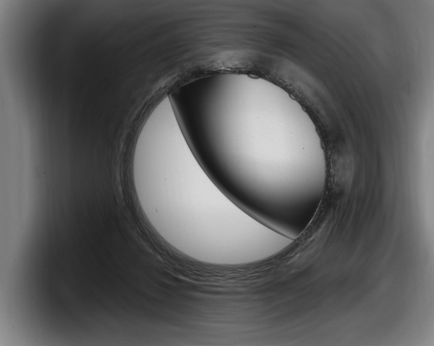 X0000098150260200804171203