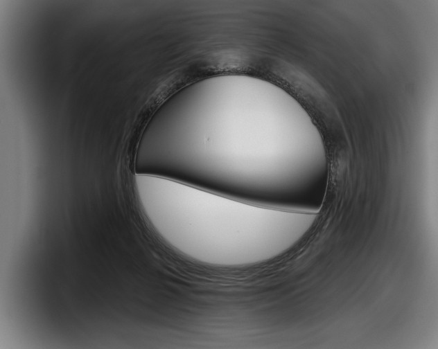 X0000098150264200804171203