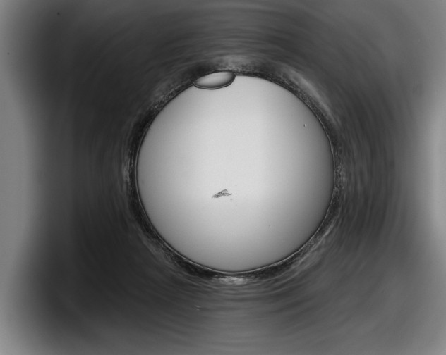 X0000098150265200804171203