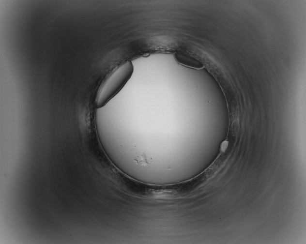 X0000098150268200804171203